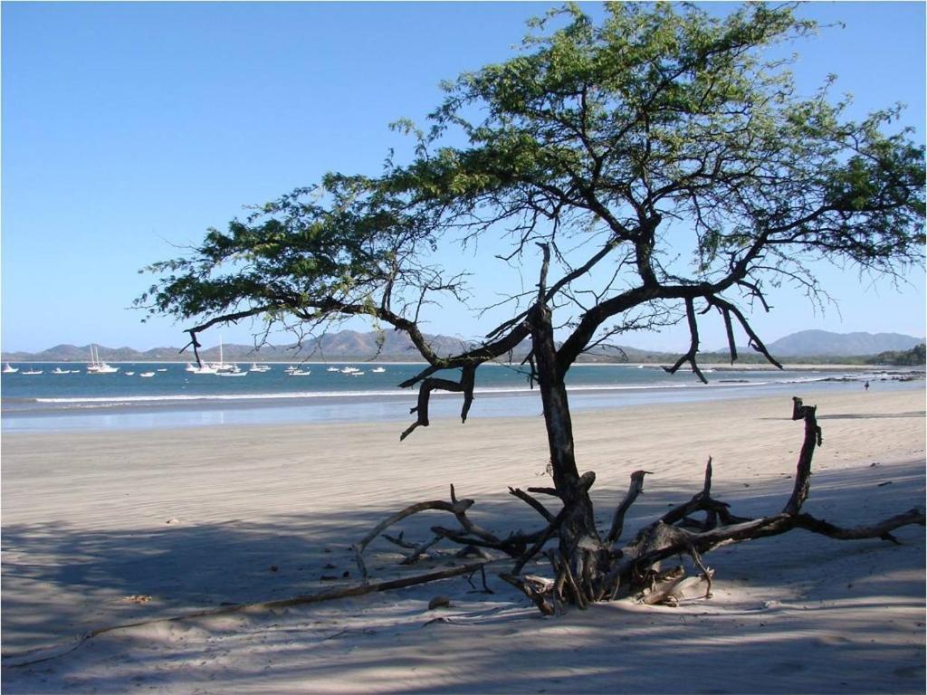 Jet Luxury At Langosta Beach Resort & Villas Tamarindo Zewnętrze zdjęcie